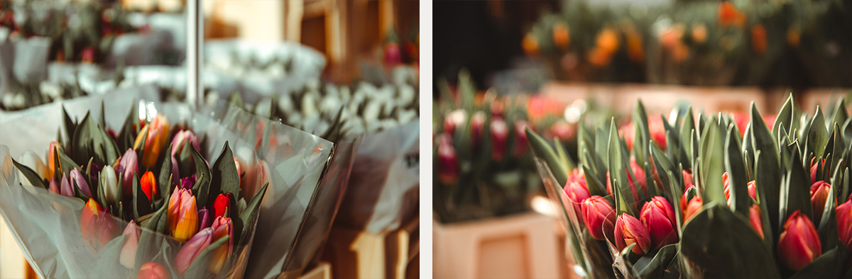 Flower shop tulip Amsterdam