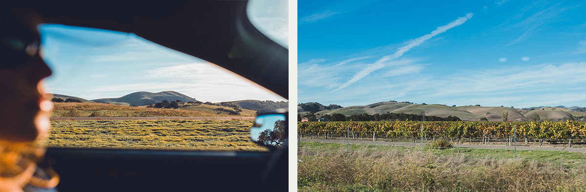 California vineyard mustang road