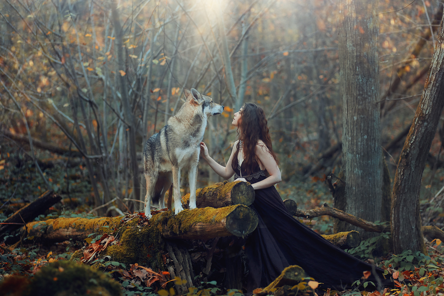 Raphaelle Monvoisin Springwood Lovers, woman and a wolf