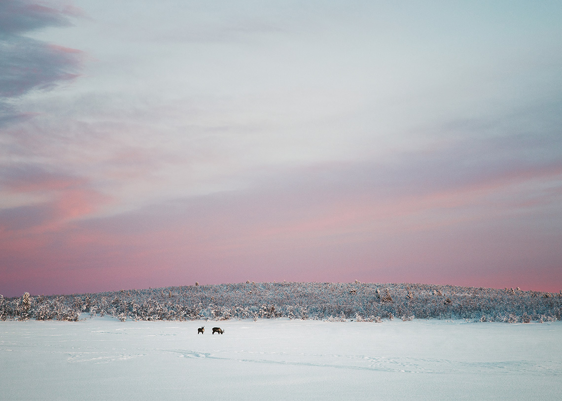 Raphaelle Monvoisin nature travel wander earth wild wanderer lapland sweden finland arctic