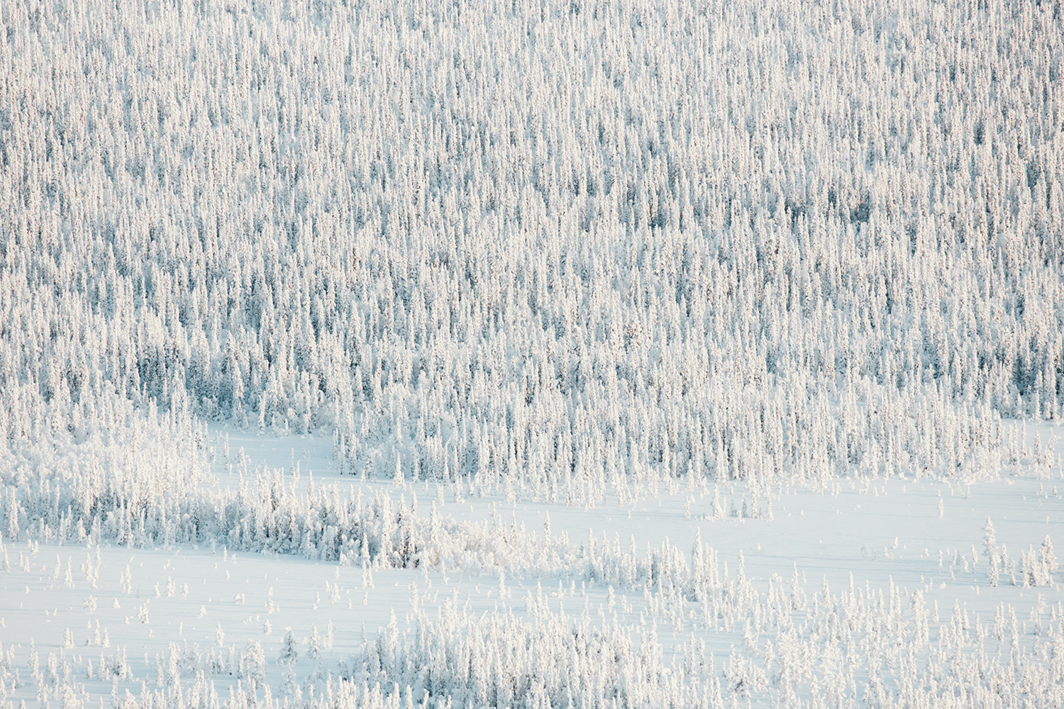 Raphaelle Monvoisin iceland lapland ashen landscape winter wildscape white grey snow photography