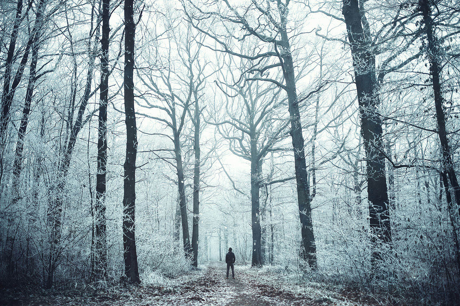 Raphaelle Monvoisin, The Crystal Path, winter forest
