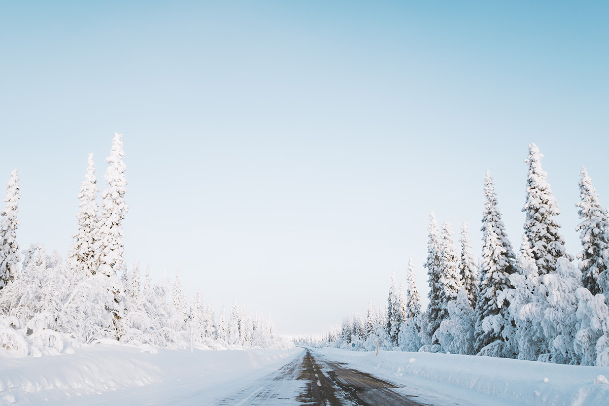 Lapland Candelabre boreal forest road Raphaelle Monvoisin