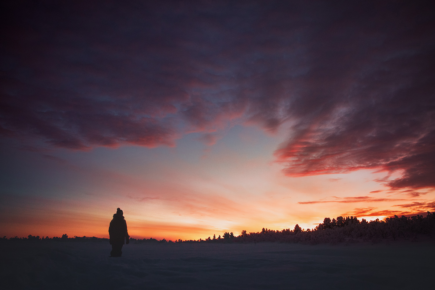 Lapland Kaarejarvi silhouette sunset arctic Raphaelle Monvoisin