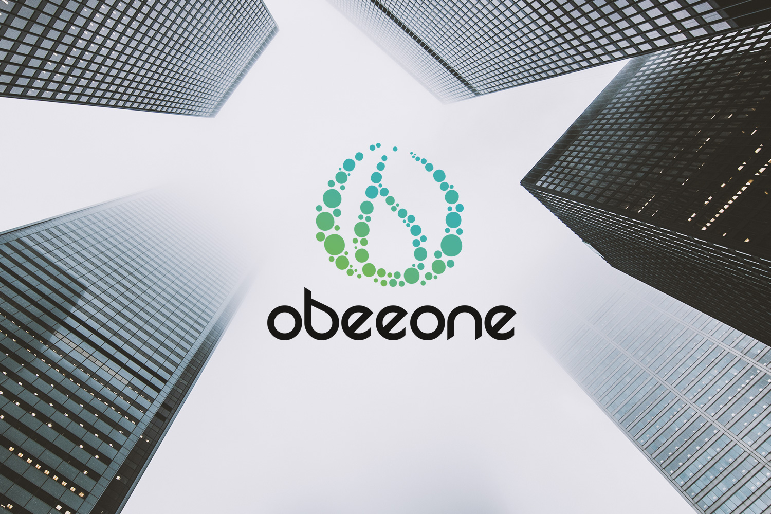 Logotype brand branding ObeeOne SSII business consulting developer
