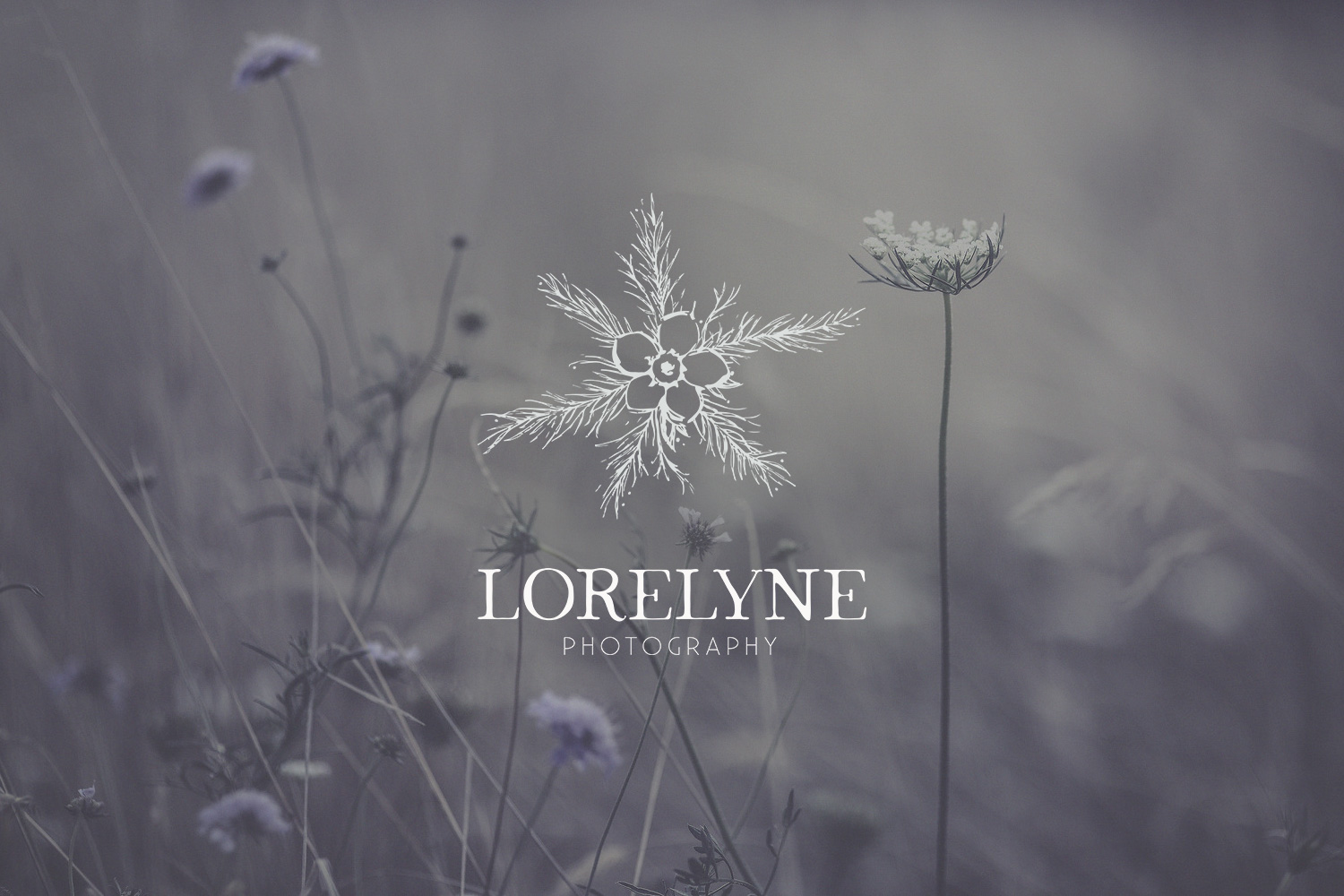 Lorelyne Photography Photographe Photographer branding logo logotype visual identity botanical flower nature plant